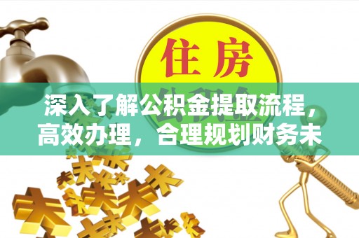 大湖深入了解公积金提取流程，高效办理，合理规划财务未来