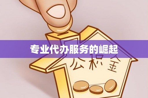 大湖专业代办服务的崛起