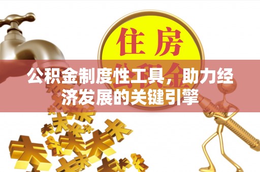 大湖公积金制度性工具，助力经济发展的关键引擎