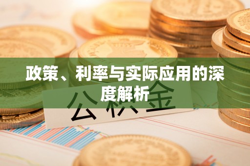 大湖政策、利率与实际应用的深度解析