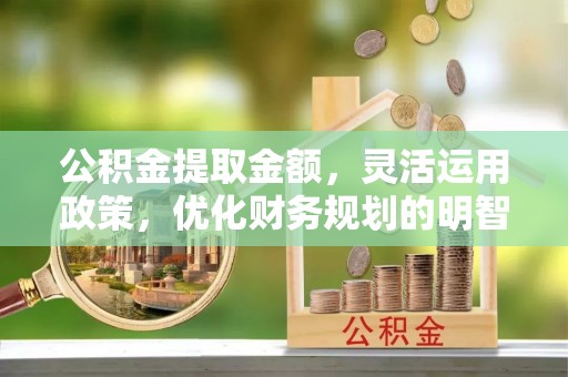 大湖公积金提取金额，灵活运用政策，优化财务规划的明智选择