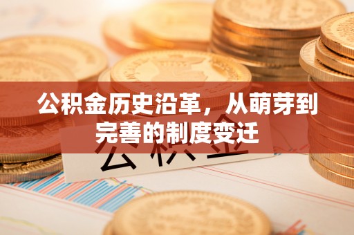 大湖公积金历史沿革，从萌芽到完善的制度变迁
