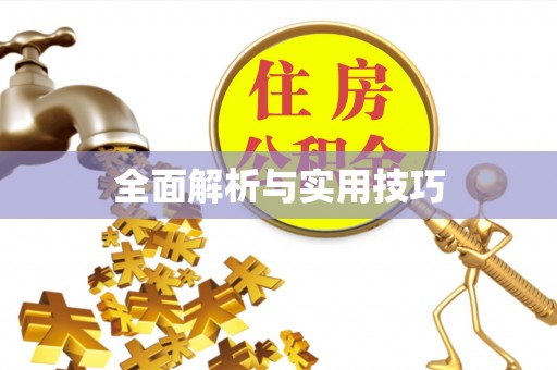 大湖全面解析与实用技巧