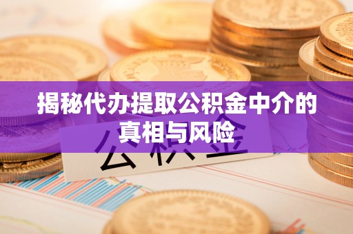 大湖揭秘代办提取公积金中介的真相与风险