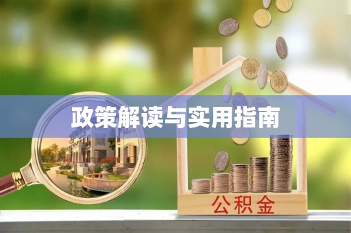 大湖政策解读与实用指南