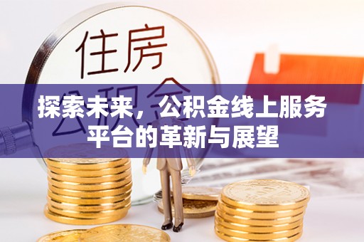 大湖探索未来，公积金线上服务平台的革新与展望