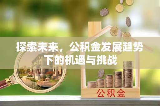 大湖探索未来，公积金发展趋势下的机遇与挑战