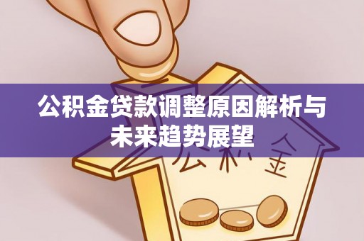 大湖公积金贷款调整原因解析与未来趋势展望