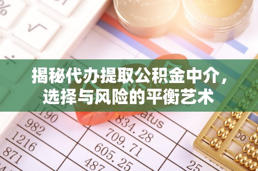 大湖揭秘代办提取公积金中介，选择与风险的平衡艺术