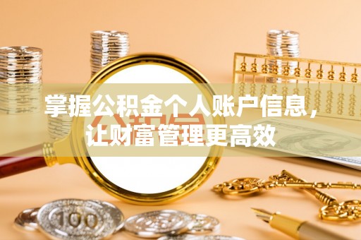 大湖掌握公积金个人账户信息，让财富管理更高效